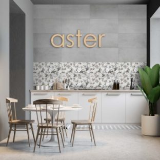 ASTER