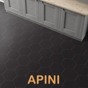 APINI