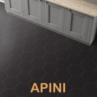 APINI