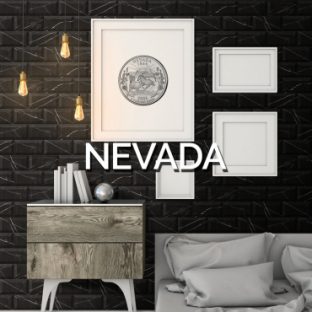 NEVADA