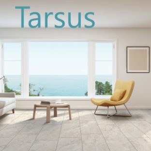 TARSUS