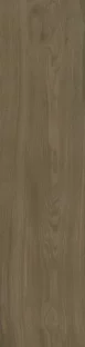 Madera Matte Nogal Porcelain Tile 30×120