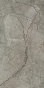 Royal Marbles Polished Silver River Dark Porcelain Tile 60x120