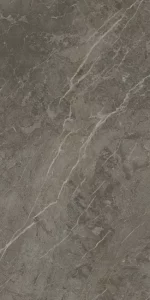 Royal Marbles Polished Dark Savana Porcelain Tile 60x120