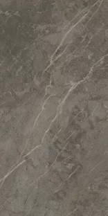 Royal Marbles Polished Dark Savana Porcelain Tile 60×120