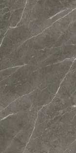 Royal Marbles Polished Dark Savana Porcelain Tile 60×120