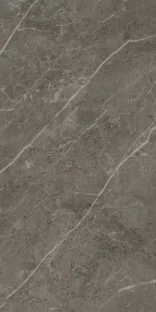 Royal Marbles Polished Dark Savana Porcelain Tile 60×120