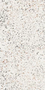 Terrazzo Polished White Multicolor Porcelain Tile 60×120