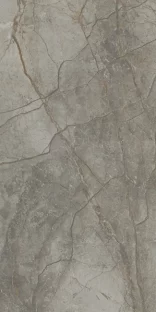 Royal Marbles Matte Silver River Dark Porcelain Tile 60×120