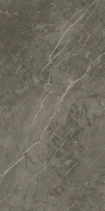 Royal Marbles Matte Dark Savana Porcelain Tile 60x120