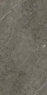 Royal Marbles Matte Dark Savana Porcelain Tile 60×120