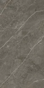 Royal Marbles Matte Dark Savana Porcelain Tile 60×120