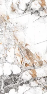 Royal Marbles Polished Bianca Modül-A Porcelain Tile 60×120