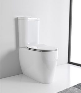 Moon Monoblock Toilet